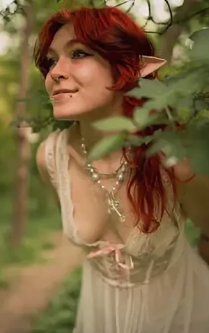 Mushroomsofi