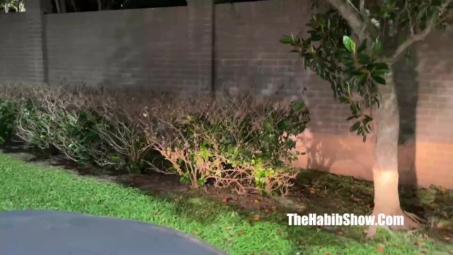 Ebony action from Grab