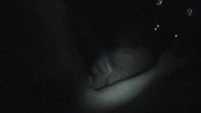 Hardcore sex from Grab