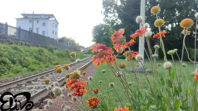 Elivalove action with ElivaLove from Grab