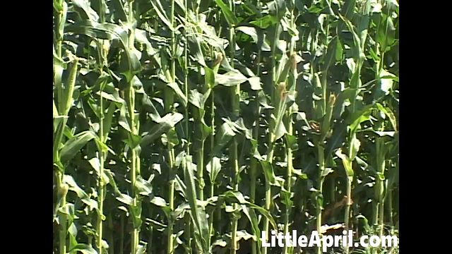 POV video with Little April and Petite Blonde from Grab