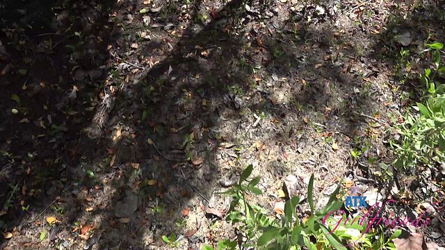 Hd smut with Riley Rose from Grab